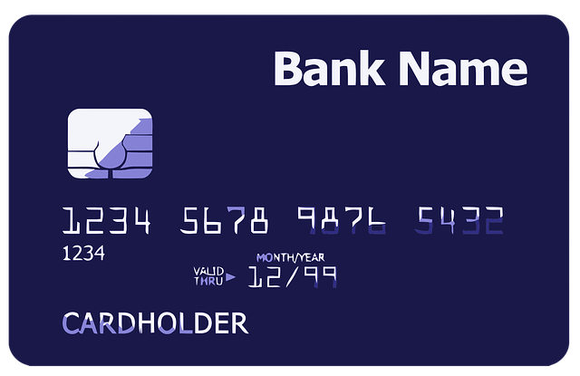 Fraudes à la carte bancaire